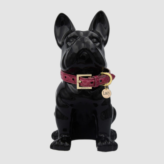 Collars for dog and cat in genuine Fuchsia python skin