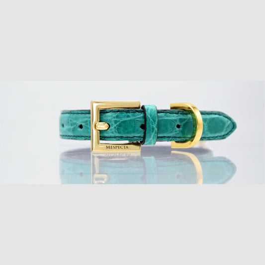 Collare per cani e gatti in vero coccodrillo Verde Smeraldo - MESPECTA Italia