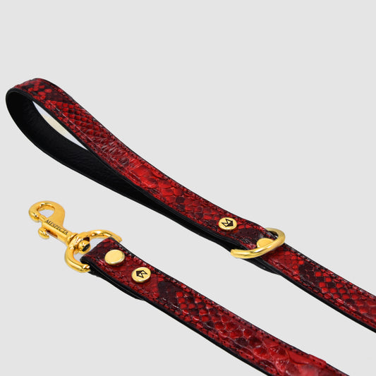 Guinzaglio per cani in vera pelle di Pitone Rosso - MESPECTA Italia