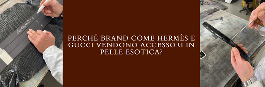 Perché brand come Hermes e Gucci vendono accessori in pelle esotica?