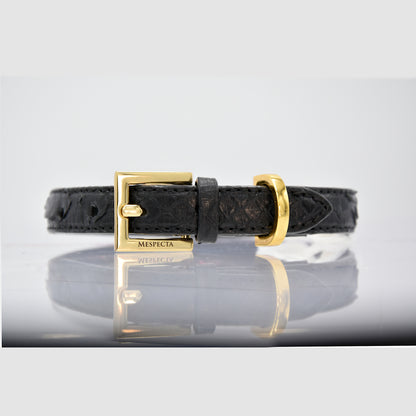 Collare per cani e gatti in vera pelle di pitone Personalizzabile