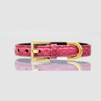 Collars for dog and cat in genuine Fuchsia python skin