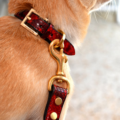 Collare in vera pelle di pitone Rosso Personalizzabile