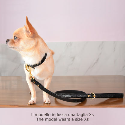 Collare per cani e gatti in vera pelle di pitone Nero Personalizzabile