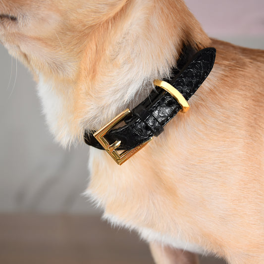 Collars for dog and cat in genuine Black python skin