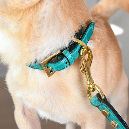 Collare per cani e gatti in vera pelle di coccodrillo Verde Smeraldo