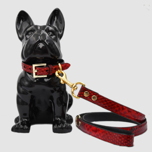 Dog leashes in genuine Red Python skin