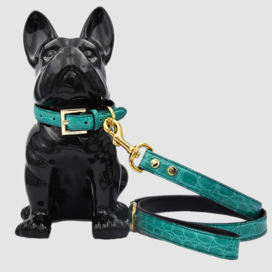 Dog leash in genuine Acqua Green crocodile skin